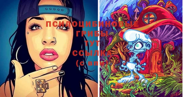 метадон Медвежьегорск